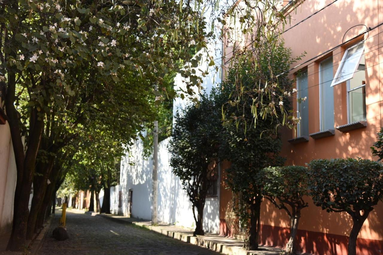 Casa Lulú Coyoacán Alvaro Obregon Esterno foto