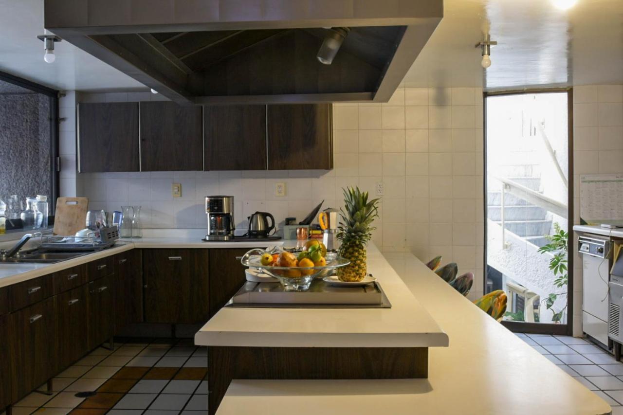 Casa Lulú Coyoacán Alvaro Obregon Esterno foto