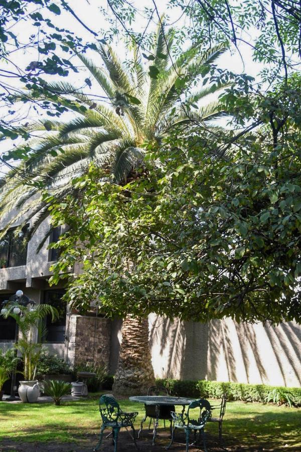 Casa Lulú Coyoacán Alvaro Obregon Esterno foto